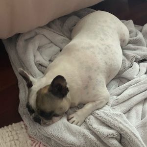 Meet your Posher, Michele